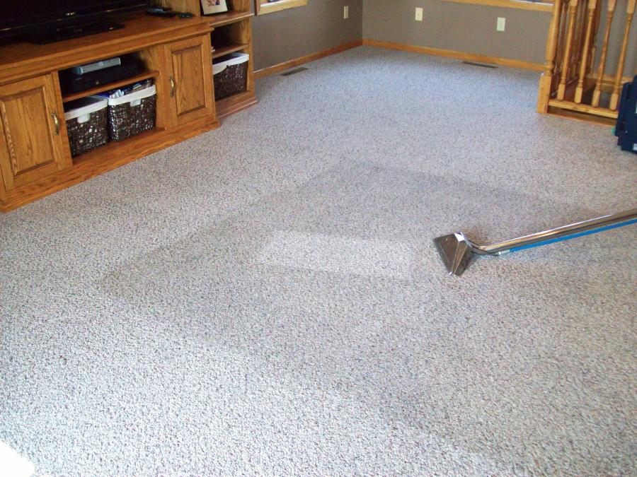 steam clean carpet