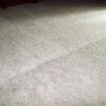 Steam Team Carpet Cleaning